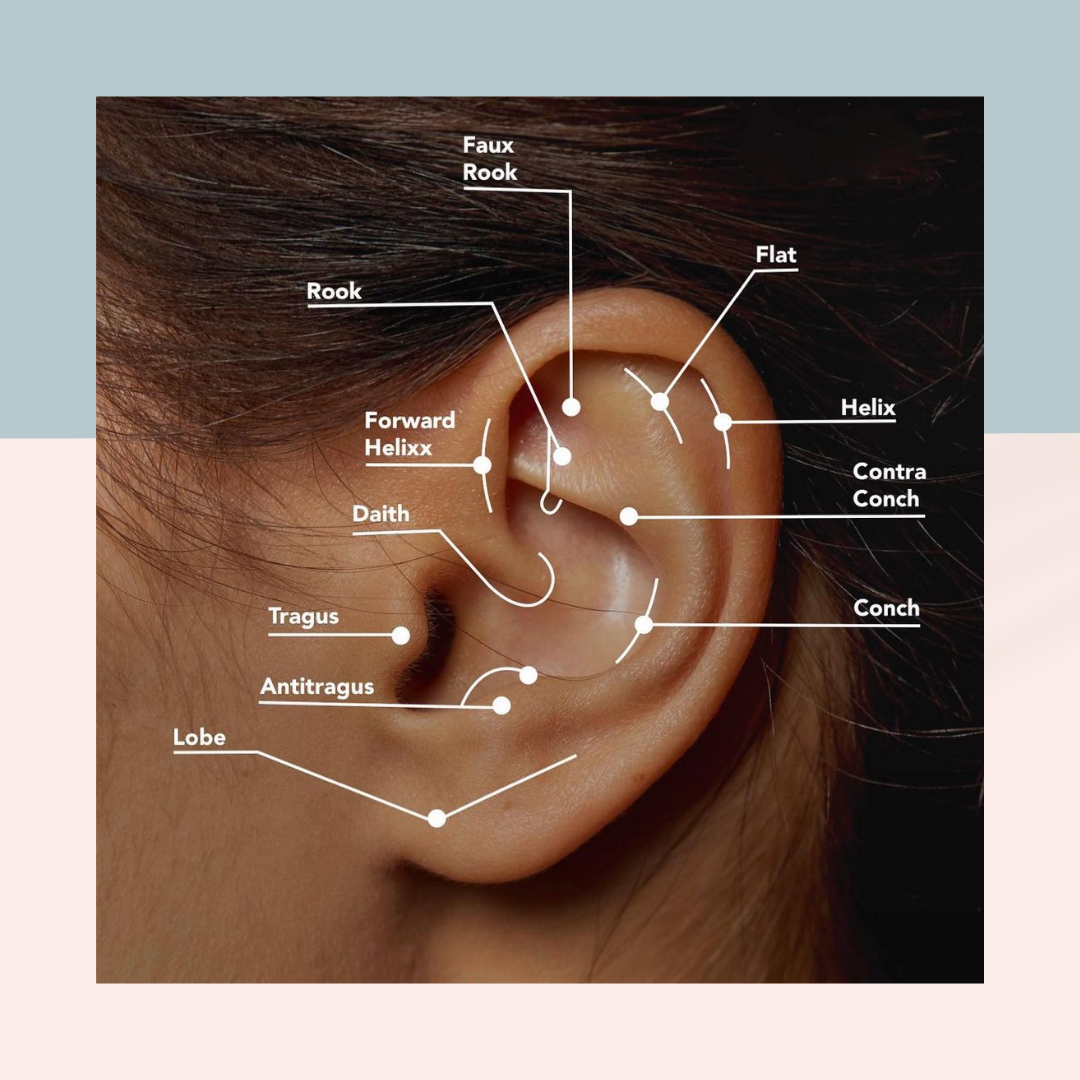 piercing-locations-image